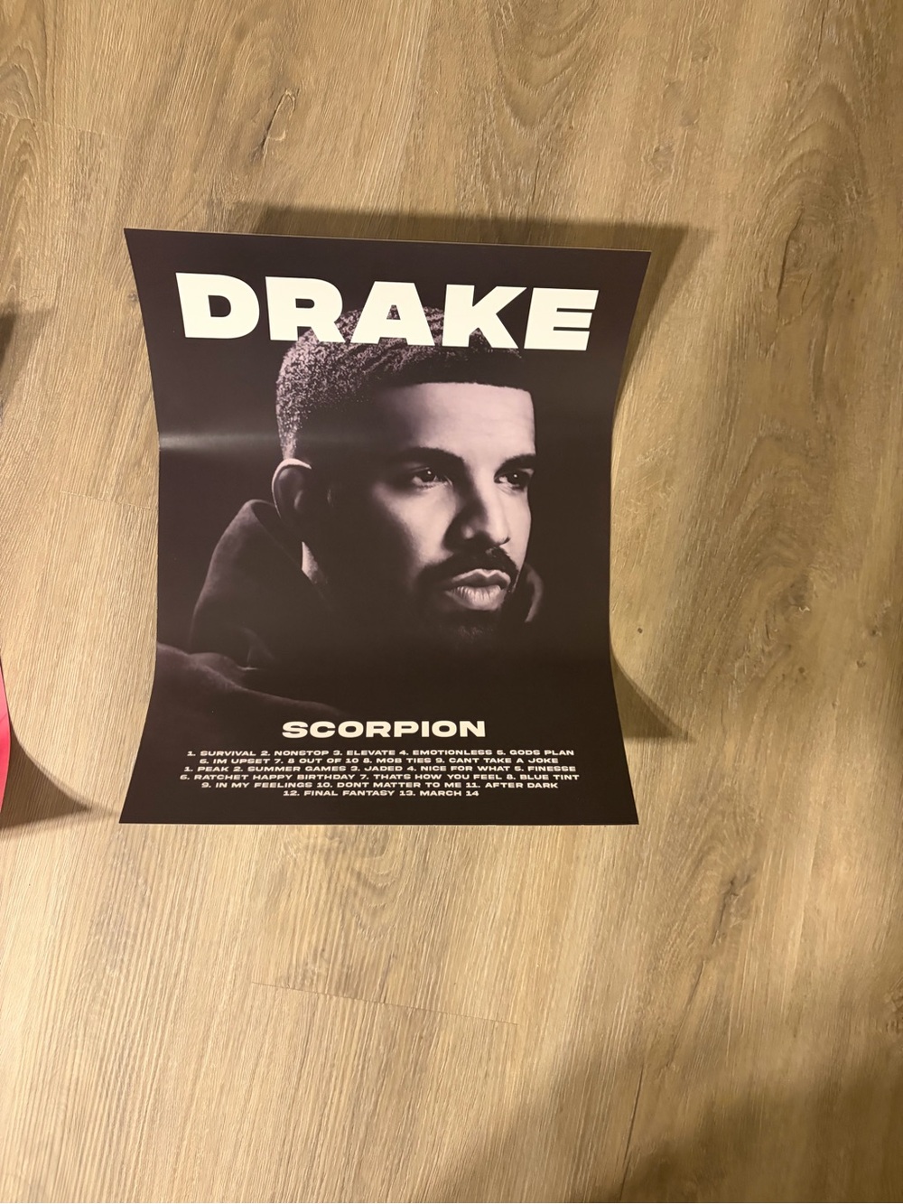 Drake Black & White 'Scorpion' Wall Art by Drake